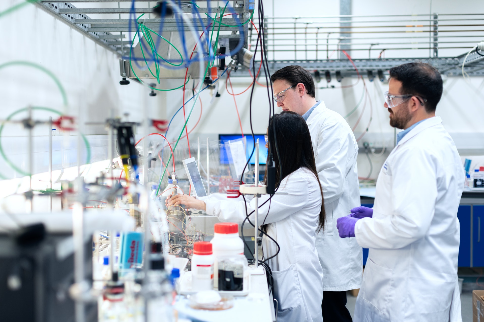 lab